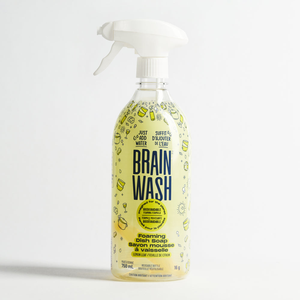 
                  
                    Lemon Leaf Foaming Dish Soap
                  
                