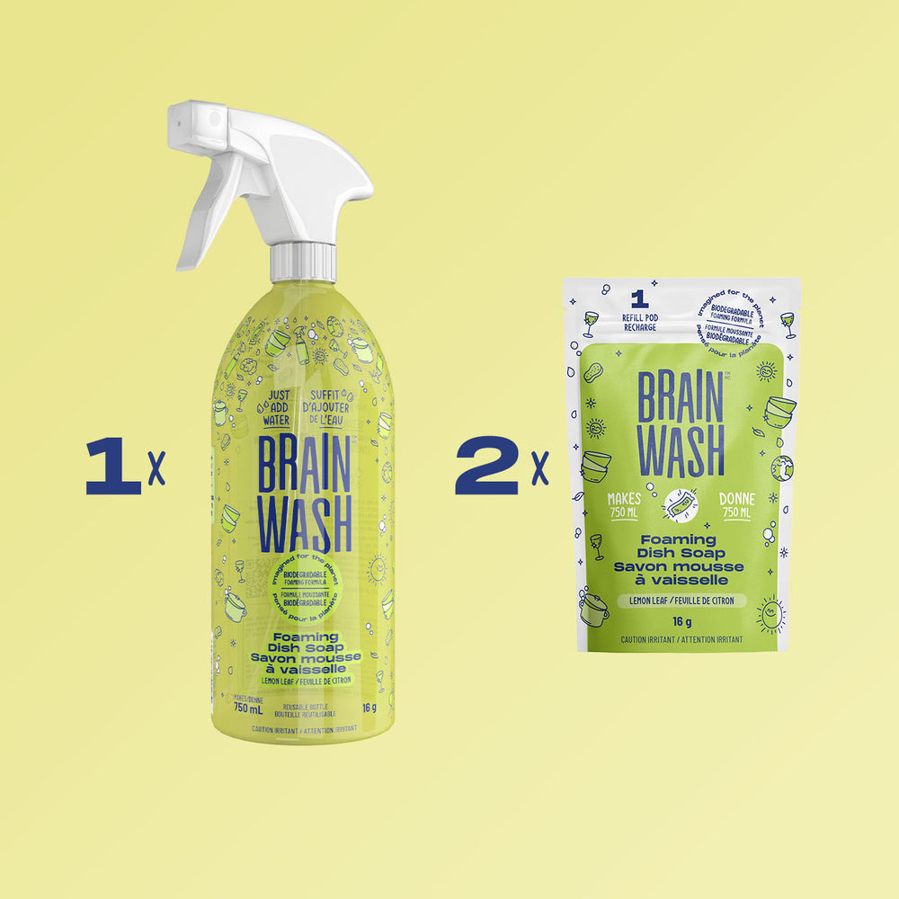 Lemon Leaf Dish Soap Foam Kit